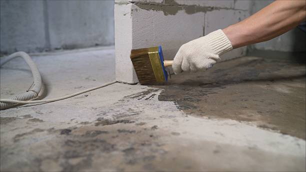 SJ Waterproofing Pros Crawl Space Encapsulation coverage map for South Byron, NY and surrounding area
